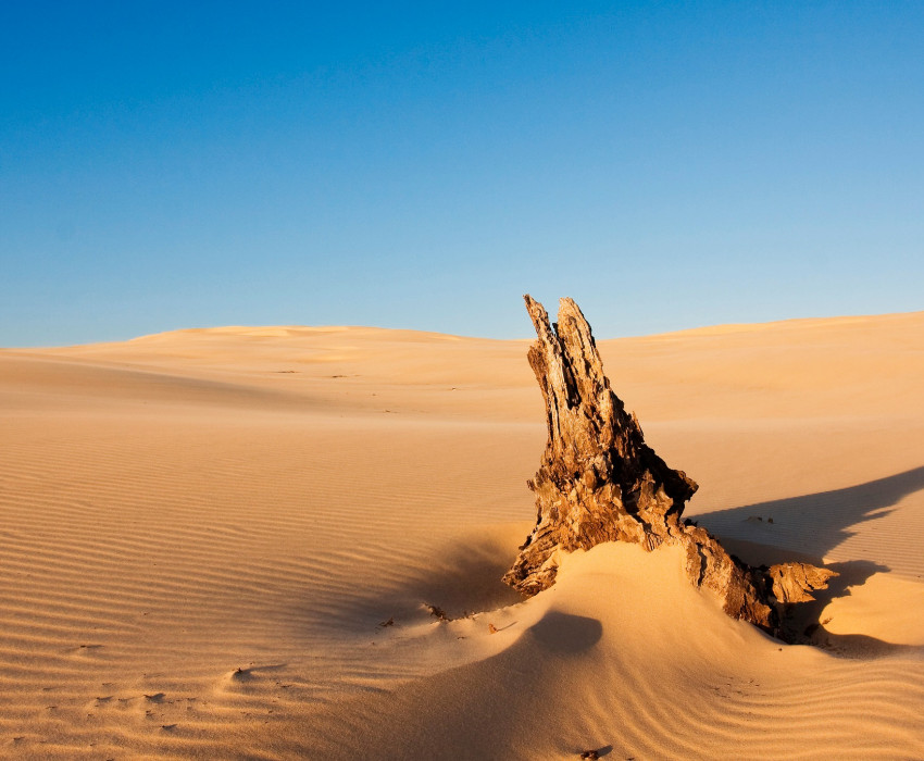 nsw  lifeless dunes