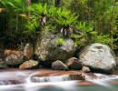 nsw kooralbyn creek