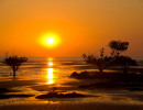 nt sunset over the mudflats kakadu