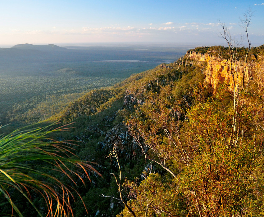 qld blackdown tableland national park