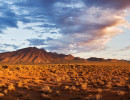 sa flinders ranges